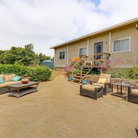 Escondido Vineyard Estate Walk To Wineries! Villa Exterior foto