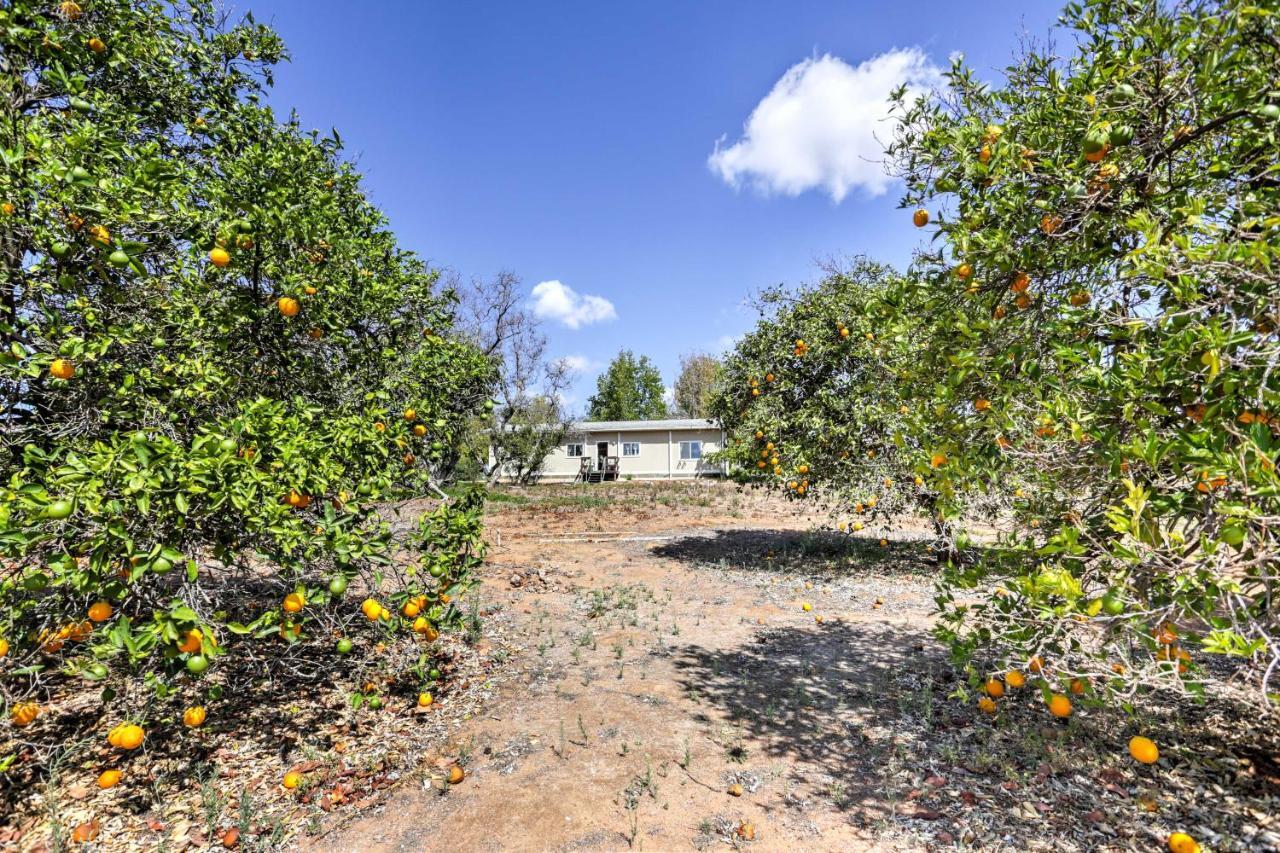 Escondido Vineyard Estate Walk To Wineries! Villa Exterior foto